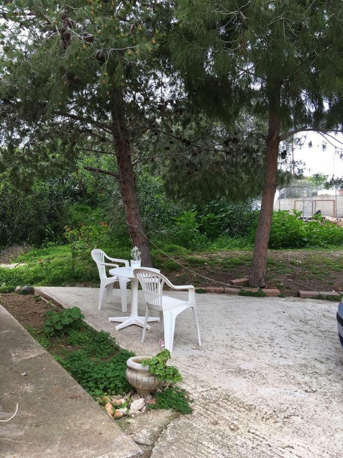 Small & Cozy Studio Paralimni Esterno foto