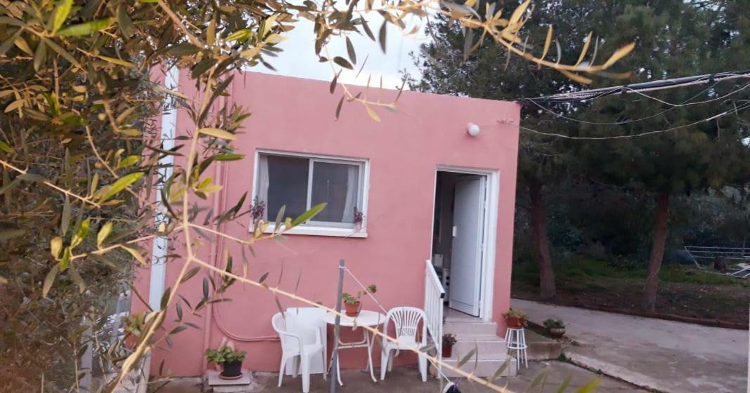 Small & Cozy Studio Paralimni Esterno foto