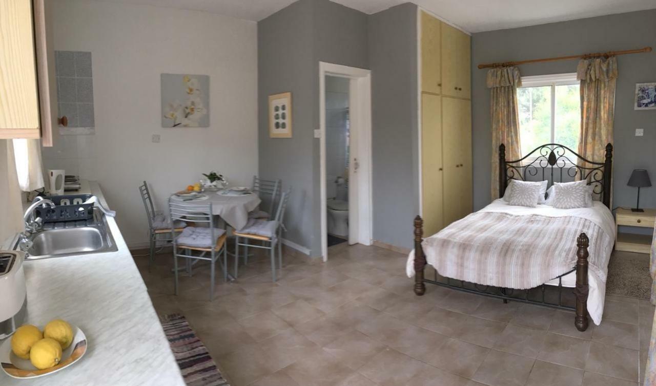 Small & Cozy Studio Paralimni Esterno foto